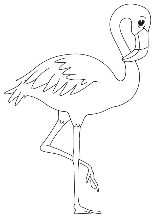 613x860 Flamingo Drawing Free Download - Flamingo Drawing Template