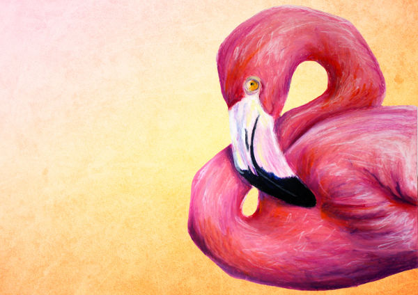 600x424 Pastel Drawings Free Premium Templates - Flamingo Drawing Template
