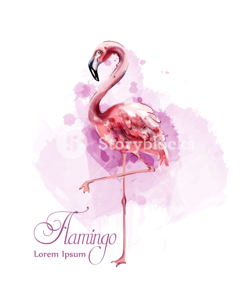 867x1000 Flamingo In Watercolor Isolated Vector Exotic Bird Cute Poster - Flamingo Drawing Template