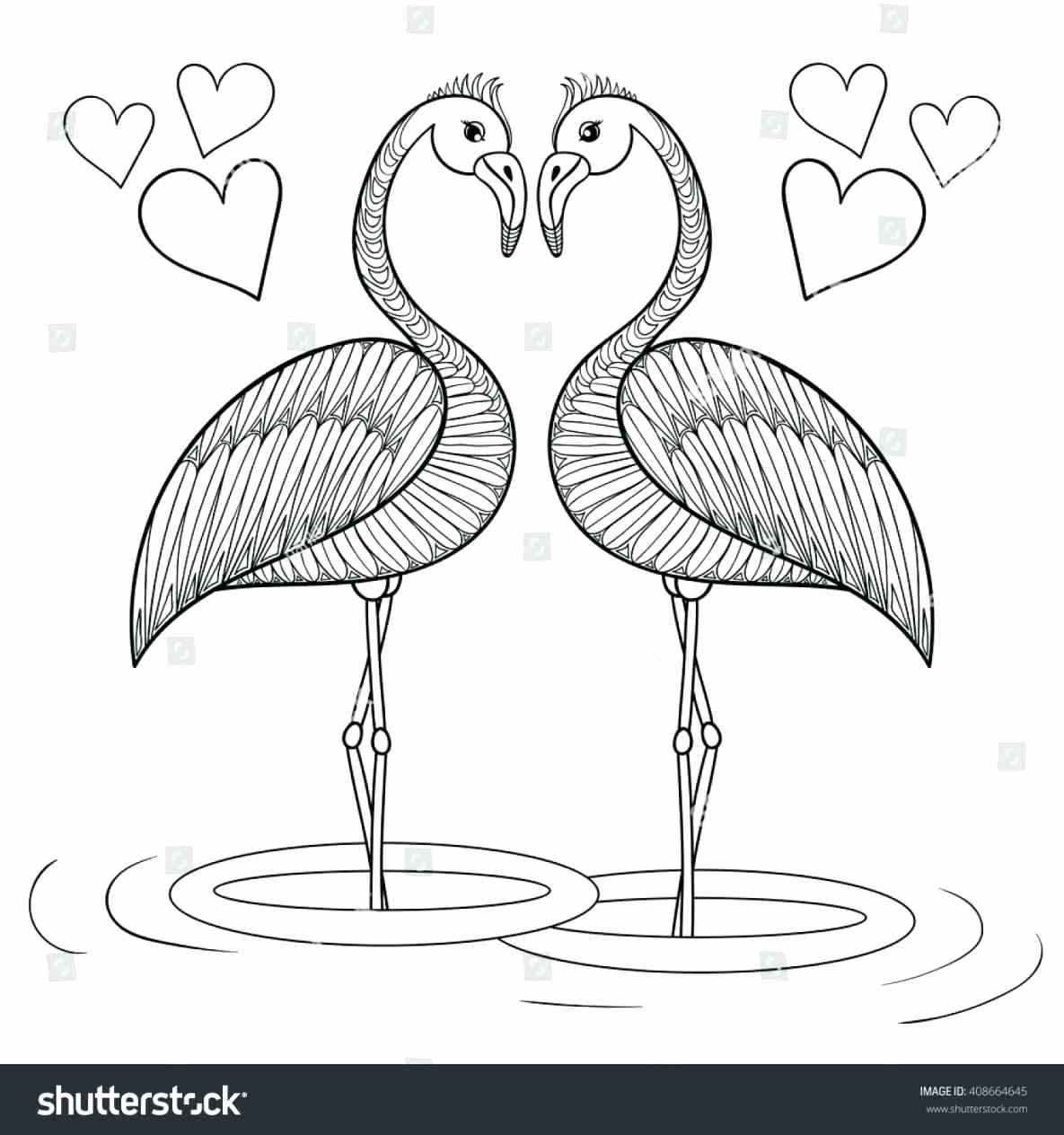 1185x1264 template flamingo beak template start off - Flamingo Drawing Template
