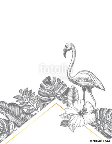387x500 Background With Ink Hand Drawn Hibiscus Flower, Flamingo Bird - Flamingo Drawing Template