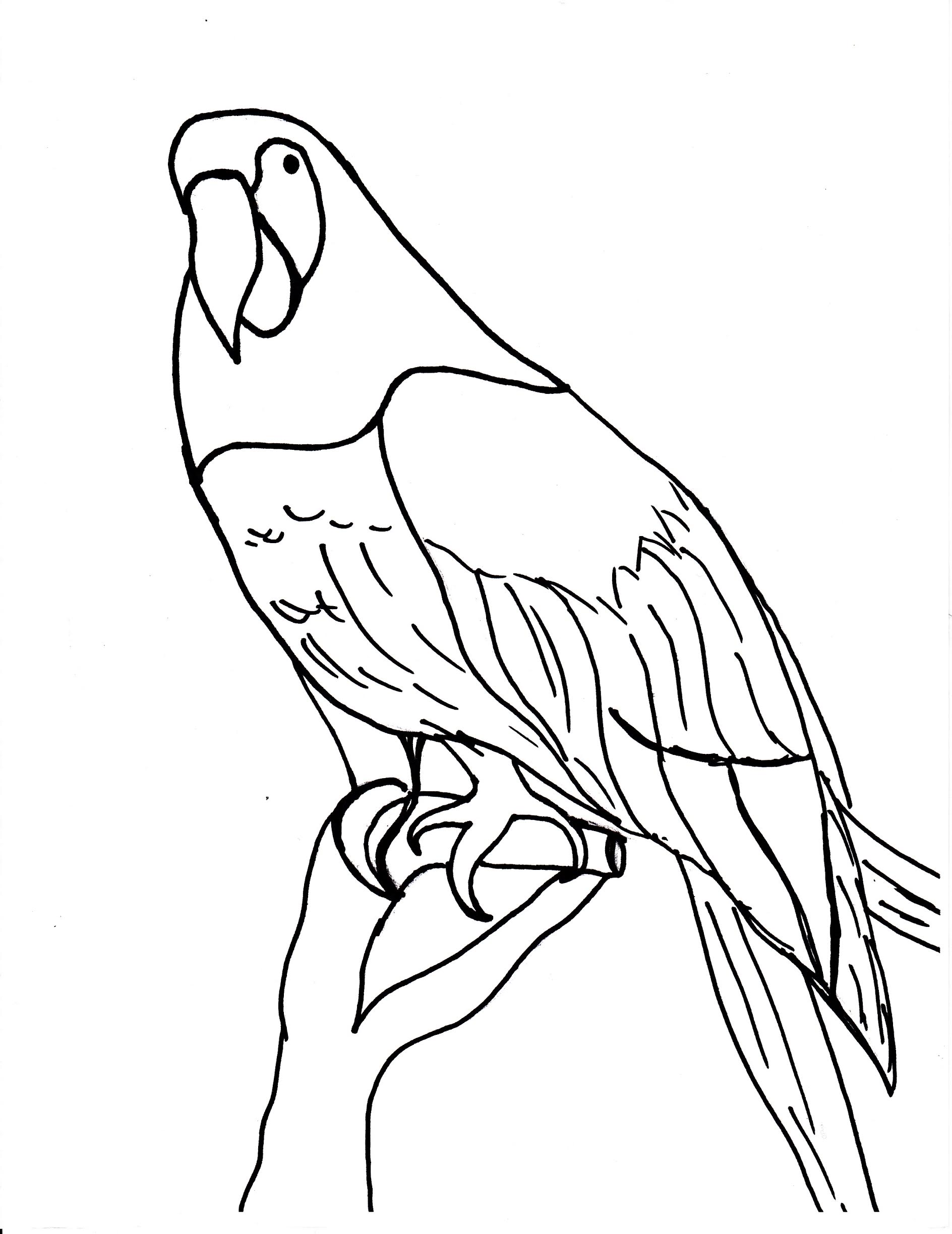 1888x2447 Bird Template - Flamingo Drawing Template