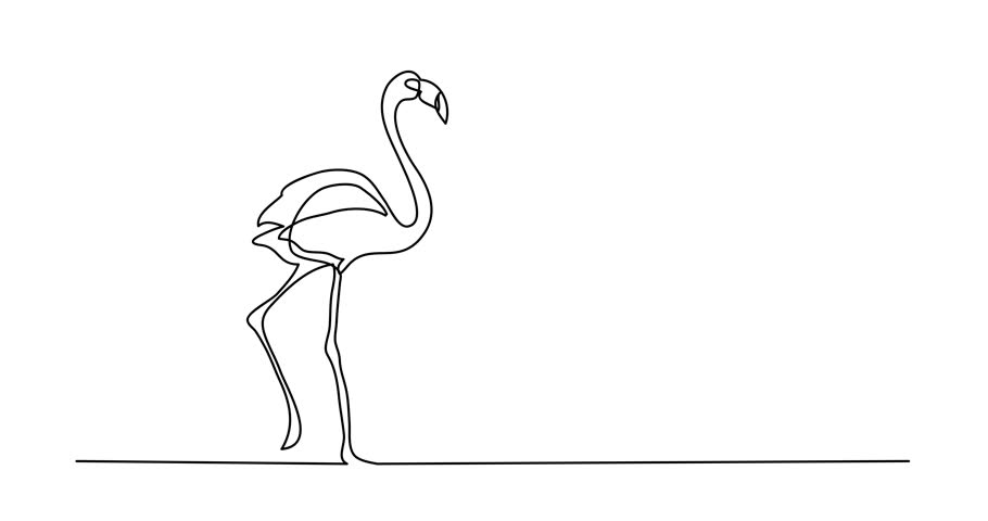 910x480 Self Drawing Animation Of Single Line Drawing Of Walking Flamingo - Flamingo Line Drawing