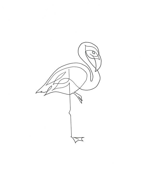 570x737 Single Line Drawing Flamingo Ink Single Line Drawing, Bird - Flamingo Line Drawing