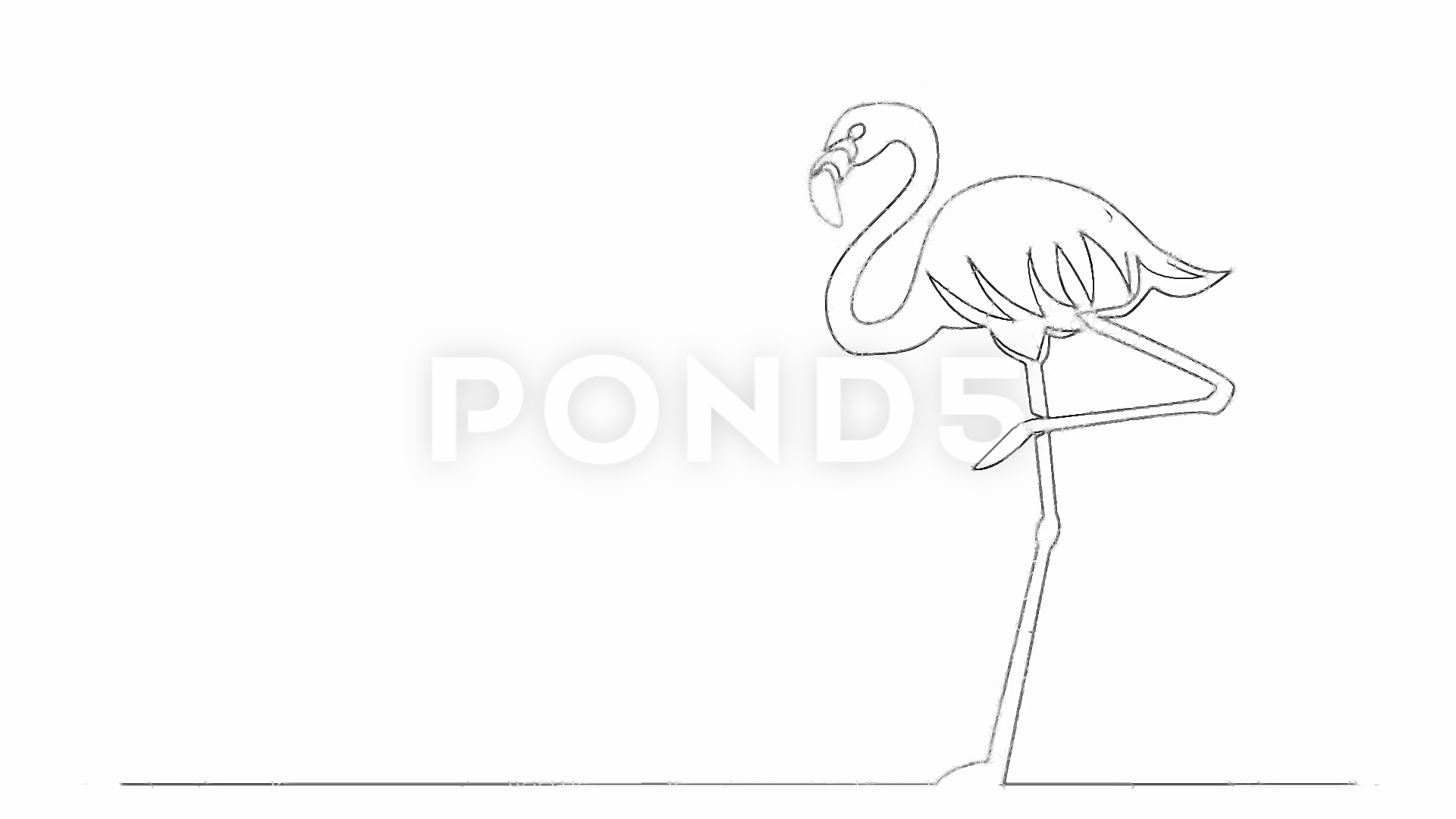 1920x1080 Continuous Line Drawing Of Flamingo Standing Hi Res - Flamingo Line Drawing