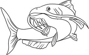 285x177 Choctawhatchee Catfish Round Up Tournament May Walton Outdoors - Flathead Catfish Drawing