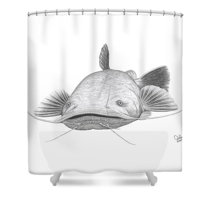 800x800 Flathead Catfish Shower Curtain For Sale - Flathead Catfish Drawing