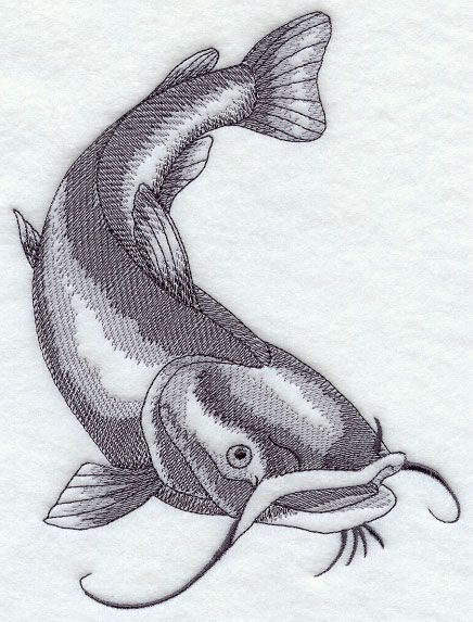 436x573 Flathead Catfish Sketch Design - Flathead Catfish Drawing
