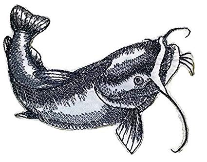 425x332 Nature's Bounty Beautiful Custom Fish Sketch - Flathead Catfish Drawing
