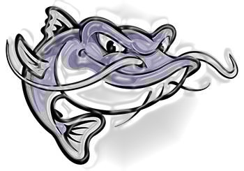 Flathead Catfish Drawing at PaintingValley.com | Explore collection of