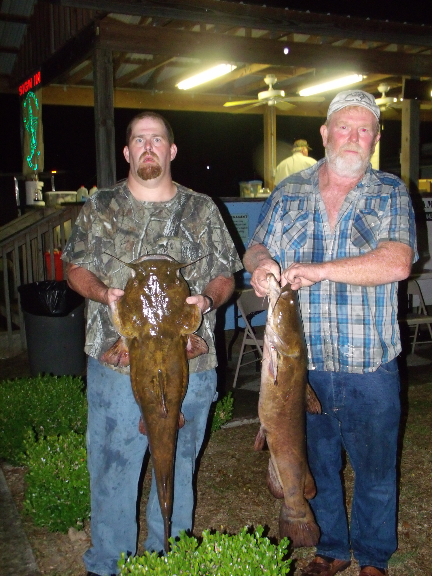 1500x2000 Results Of The Gaskin Park Flathead Catfish Tourney - Flathead Catfish Drawing