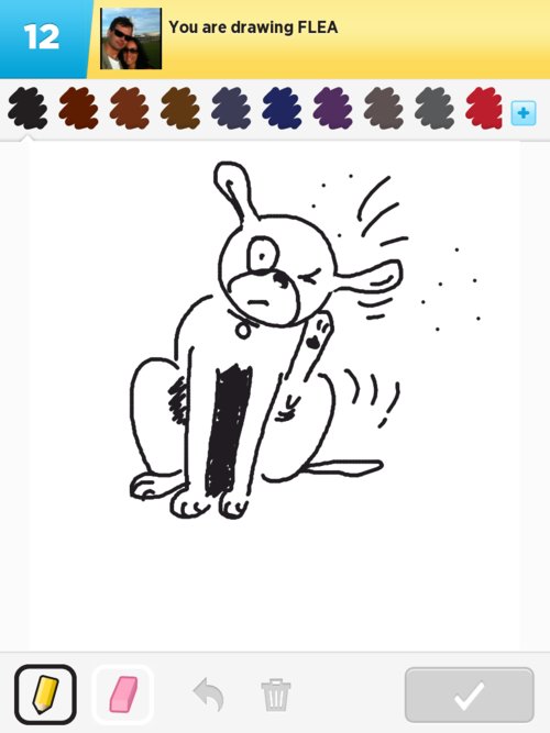 500x667 flea drawings - Flea Drawing