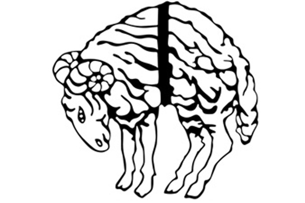 608x405 gift vouchers the golden fleece hotel, eatery and coffee house - Fleece Drawing