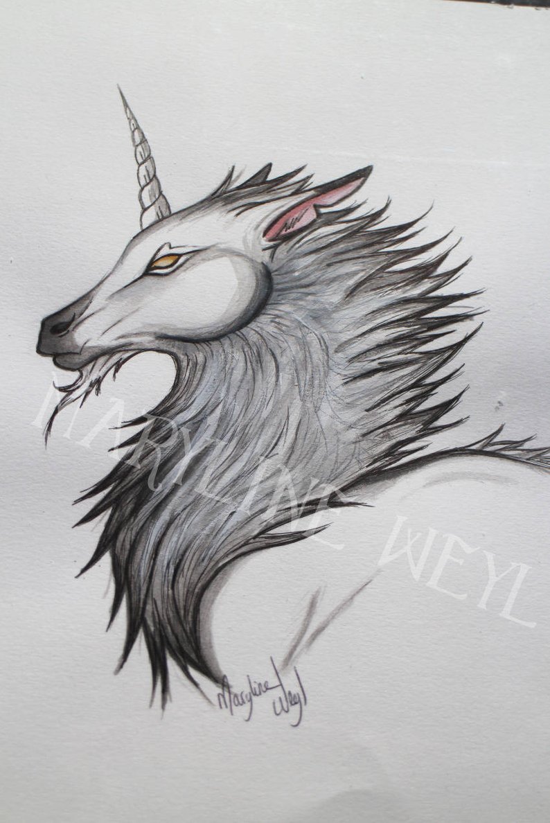 794x1188 original drawing fleece unicorn etsy - Fleece Drawing