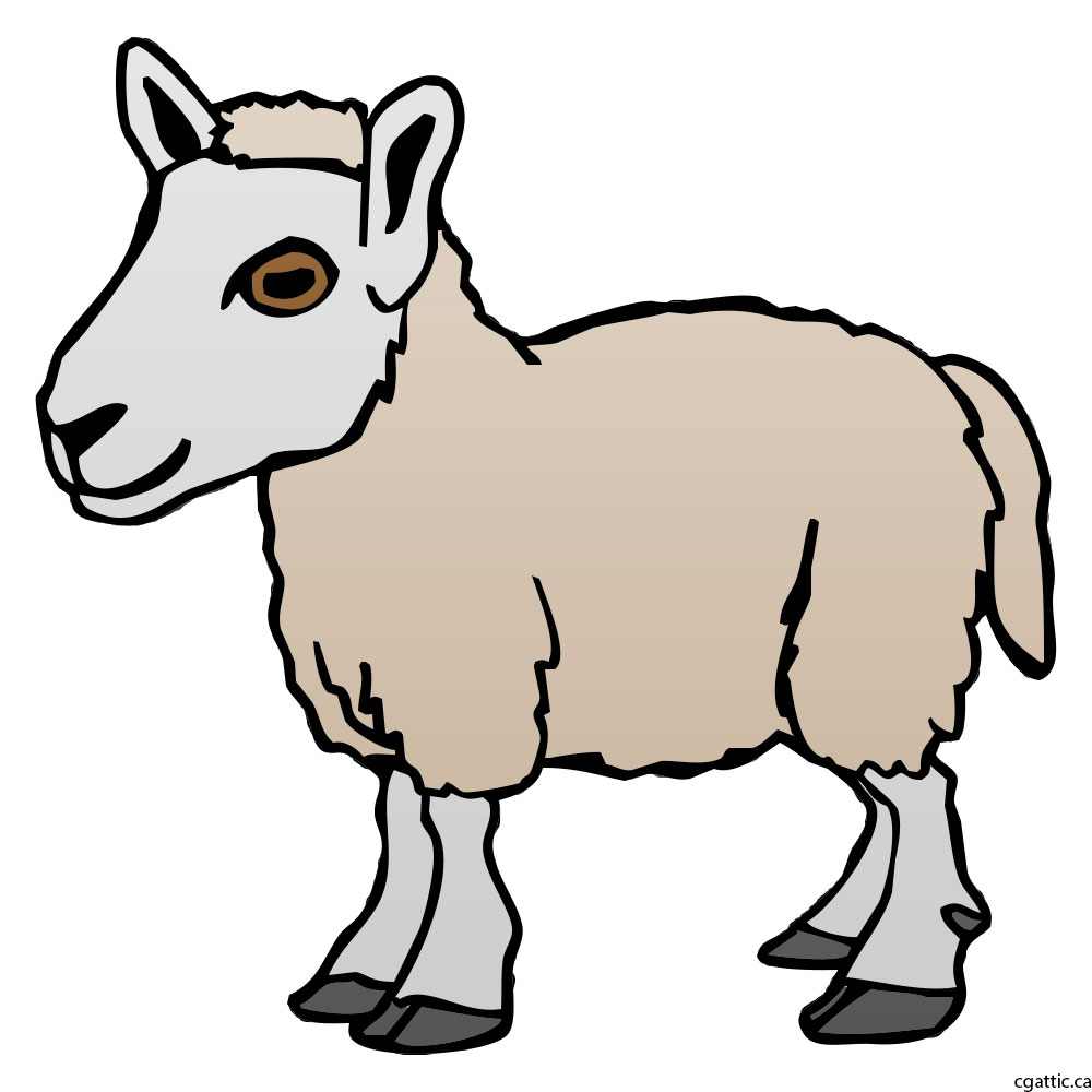 1000x1000 sheep cartoon drawing in steps with photoshop - Fleece Drawing