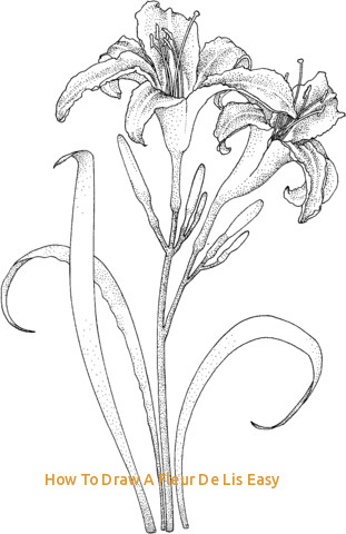 311x480 How To Draw A Fleur De Lis Easy Coloriage Tige De Lys Avec Deux - Fleur De Lys Drawing