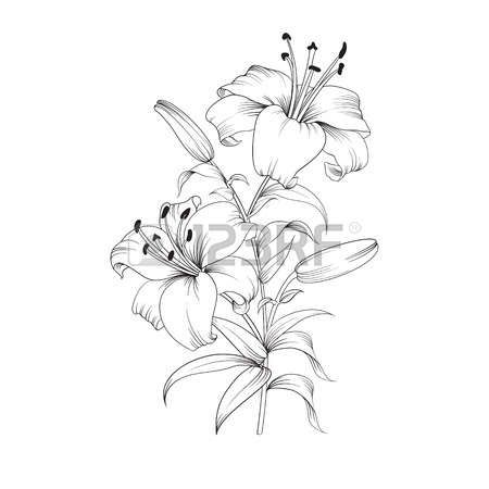 450x450 Pignon Aude - Fleur De Lys Drawing