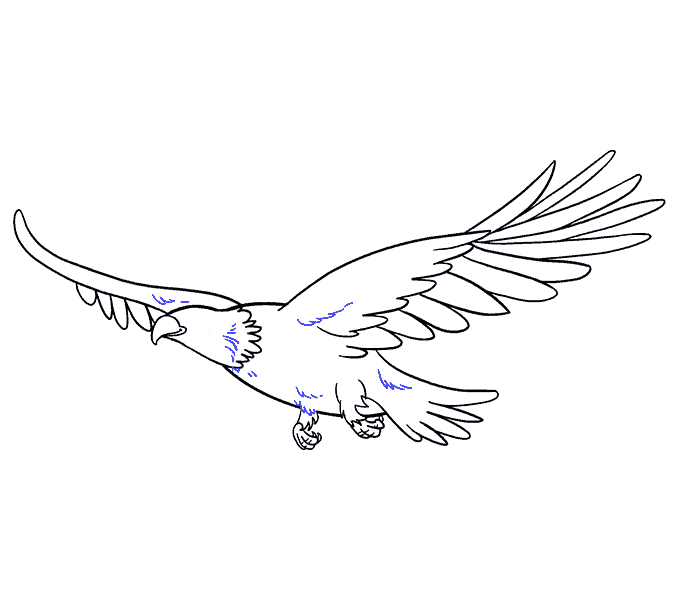 678x600 How To Draw An Eagle In A Few Easy Steps Easy Drawing Guides - Flight Drawing