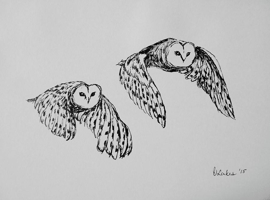 900x666 Owls In Flight Drawing - Flight Drawing