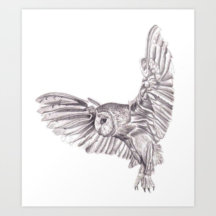 700x700 Pencil Drawing - Flight Drawing