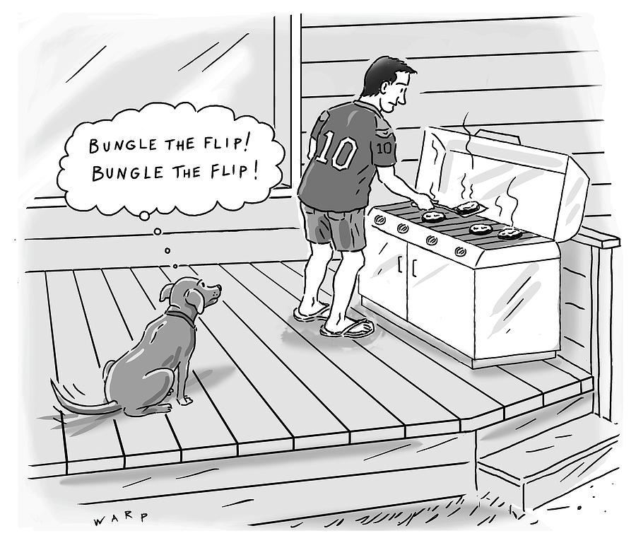 900x768 bungle the flip - Flip Drawing