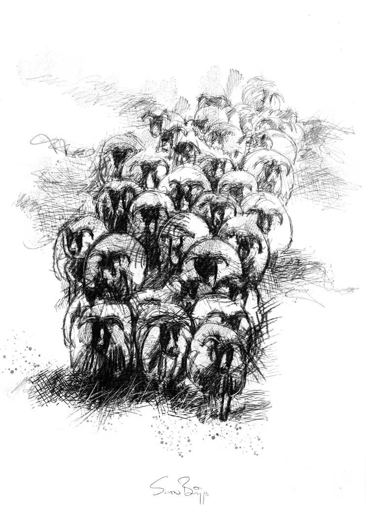741x1024 flock sheep drawings sheep drawing, drawings, sketches - Flock Drawing