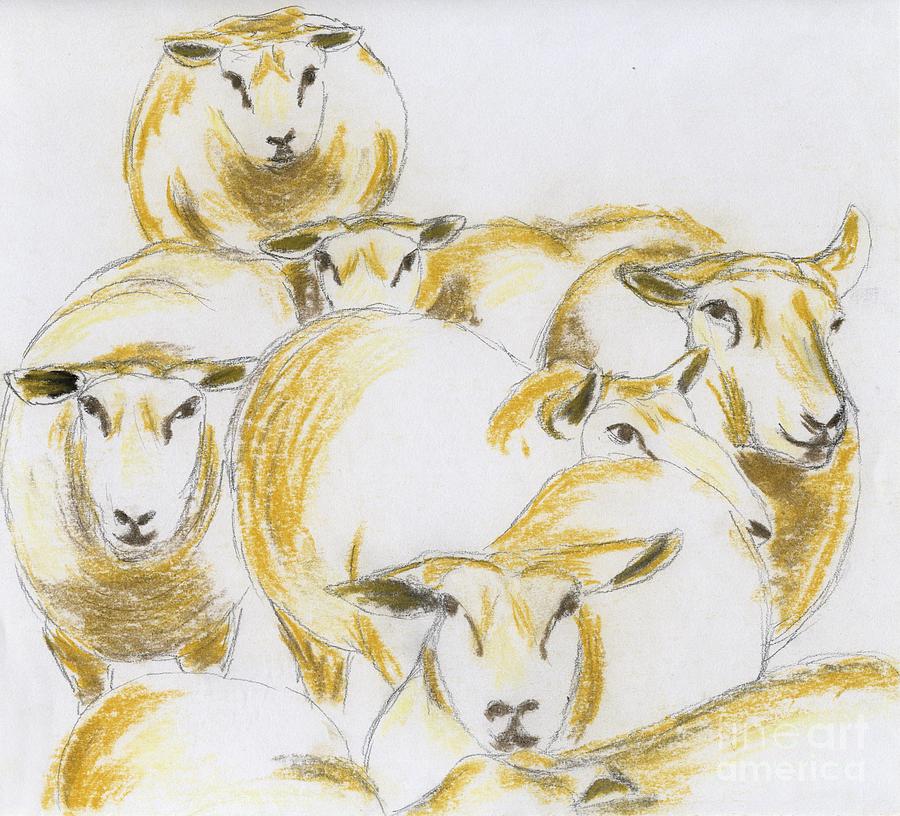 900x816 flock of sheep drawing - Flock Drawing