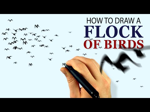 480x360 how to draw a flock of birds - Flock Drawing