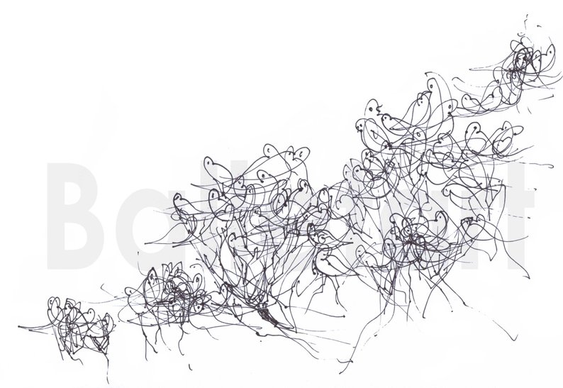 794x547 large art print bird art print wall art ink drawing black etsy - Flock Drawing