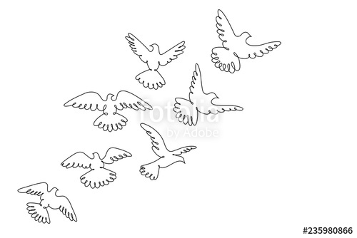 500x334 pigeons fly line drawing a flock of flying birds stock image - Flock Drawing