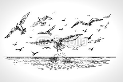 400x267 sea landscape with seagulls hand drawn vector llustration - Flock Drawing