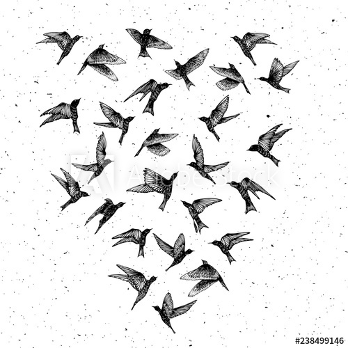 500x500 set of black hand drawn strokes birds, flock drawing sketch - Flock Drawing