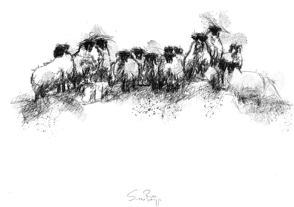 1024x719 sheep seanbriggs - Flock Drawing