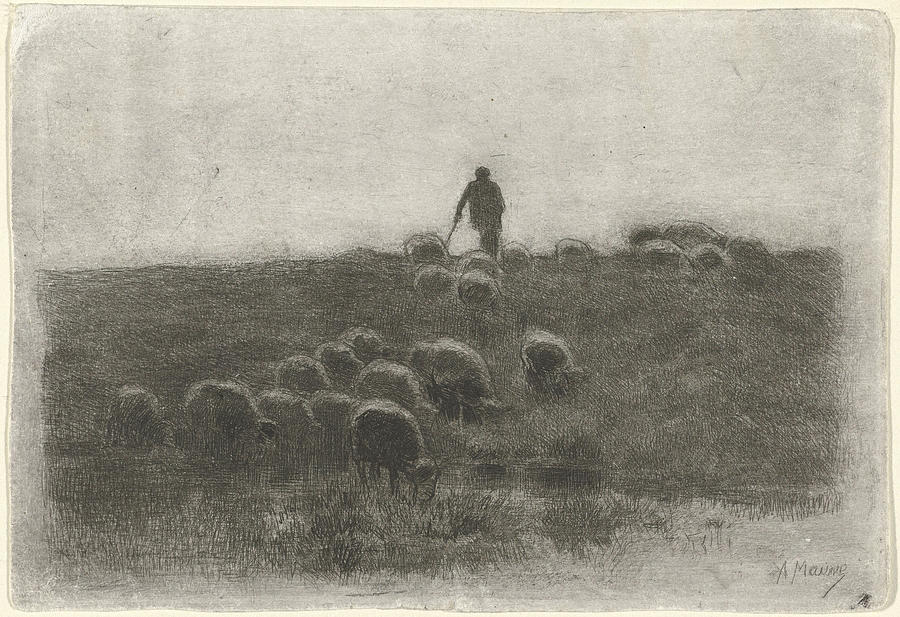 900x617 shepherd with flock of sheep, anton mauve drawing - Flock Drawing