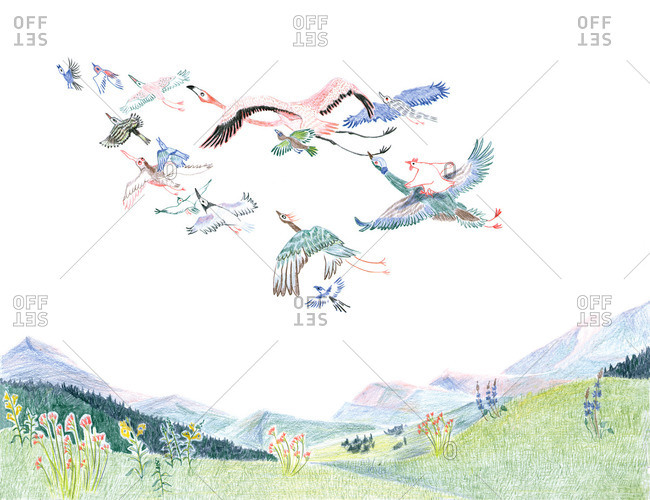 650x500 flock of birds drawing stock photos - Flock Of Birds Drawing