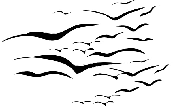 600x370 flock of birds clip art free vector in open office drawing - Flock Of Birds Drawing