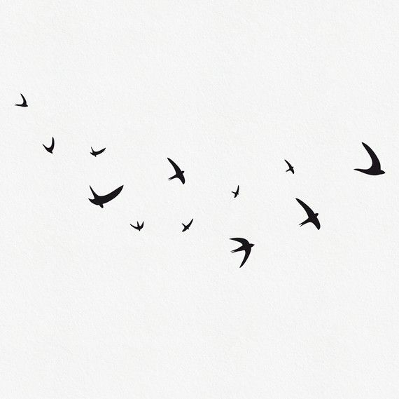570x569 flying bird wall decals - Flock Of Birds Drawing