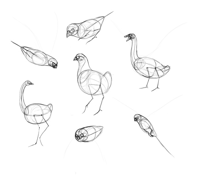 700x614 how to draw birds step - Flock Of Birds Drawing