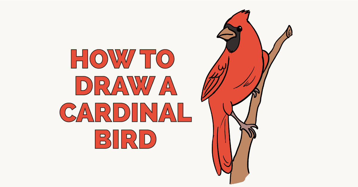 1200x628 how to draw a cardinal bird - Flock Of Birds Drawing