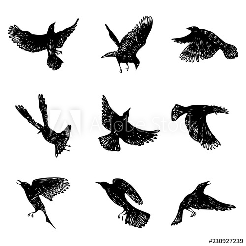 500x500 set of birds flock flying crows birds hand drawing vector - Flock Of Birds Drawing