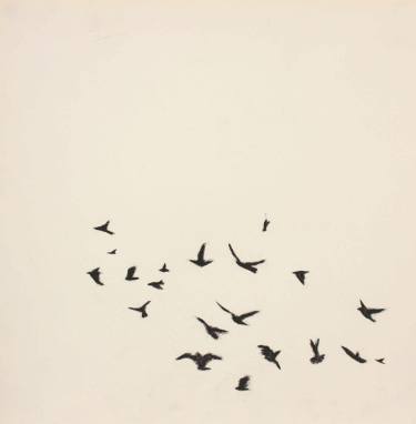 375x382 birds drawing - Flock Of Birds Drawing