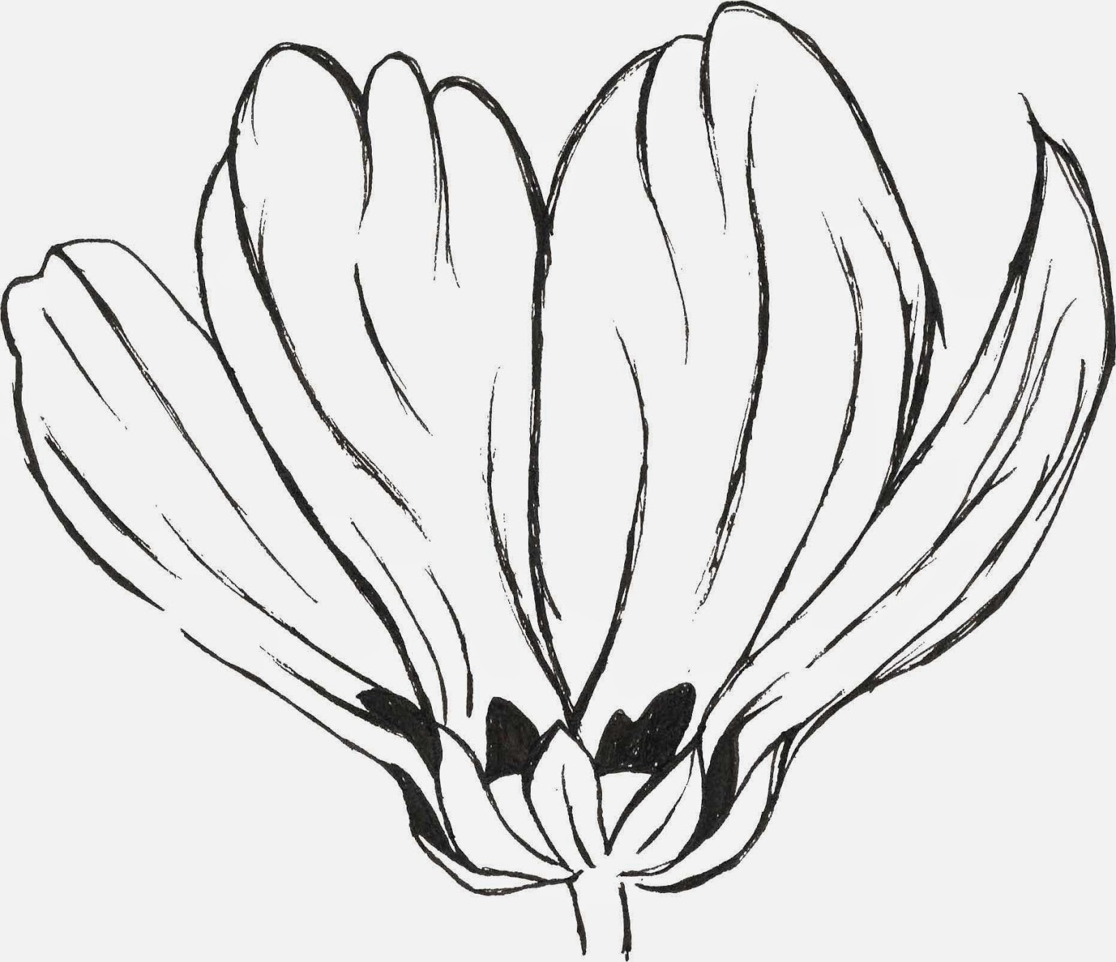 1600x1379 flora fauna moodboard inspiration lisa jayne textiles - Flora Drawing