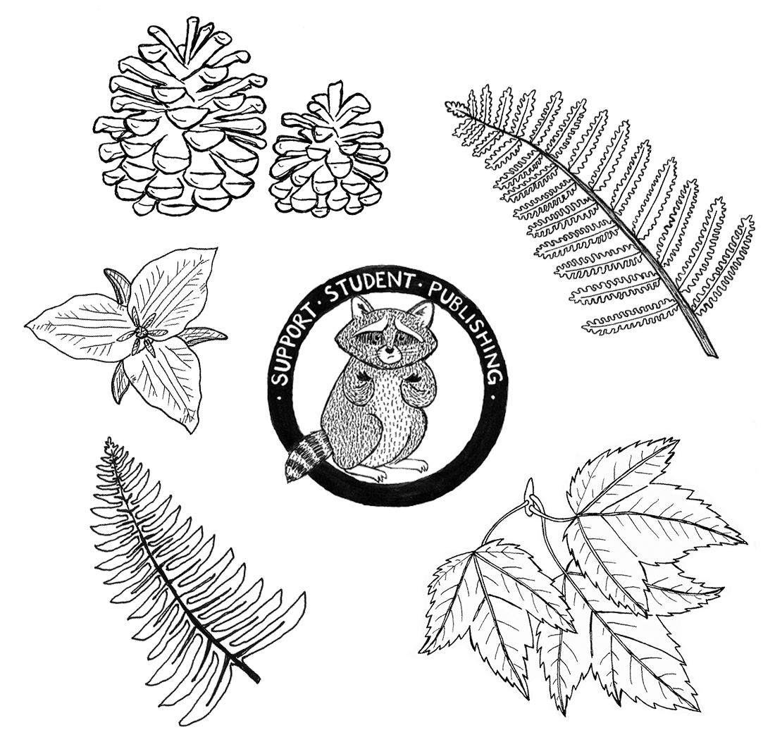 1100x1070 flora fauna drawings erika schnatz - Flora Drawing