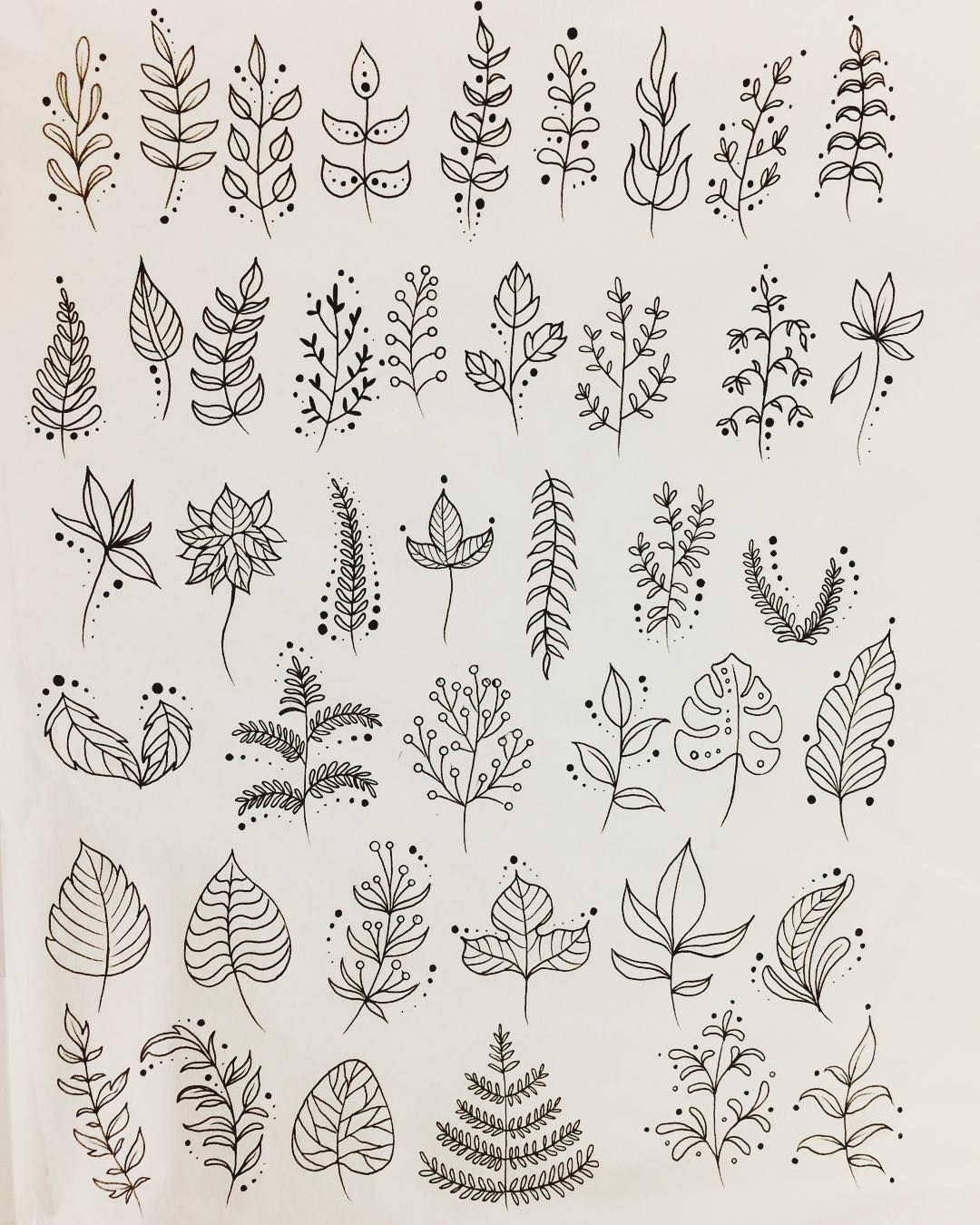 1080x1350 flora drawing designs leaves leafs vegetation art art - Flora Drawing