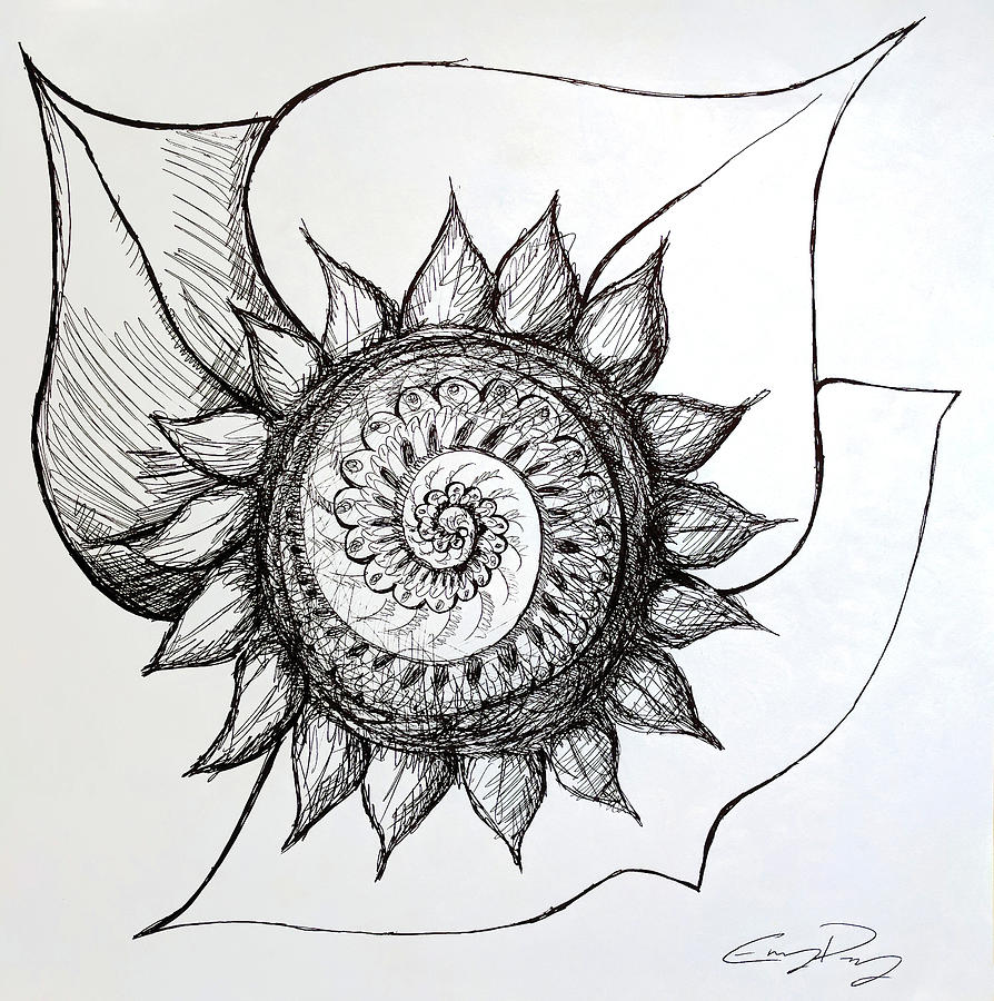 894x900 flora drawing - Flora Drawing