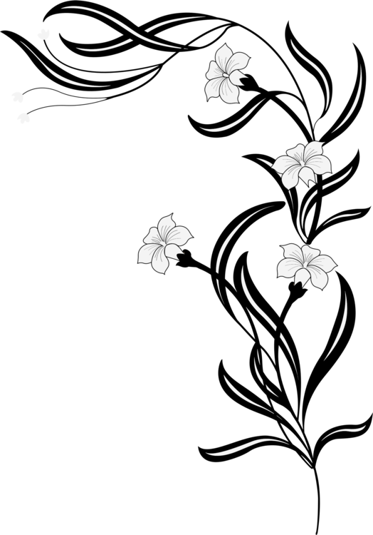 524x750 flower drawing floral design black and white cc0 - Floral Design Drawing