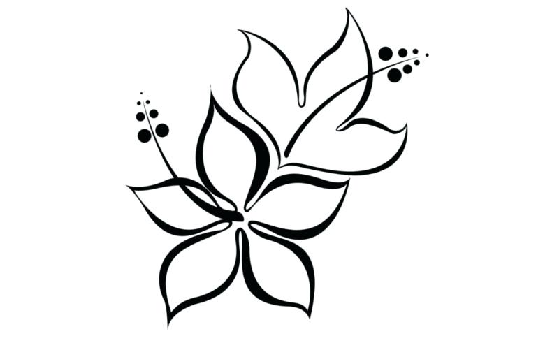 800x491 simple flower design easy flower designs drawings drawing simple - Floral Design Drawing