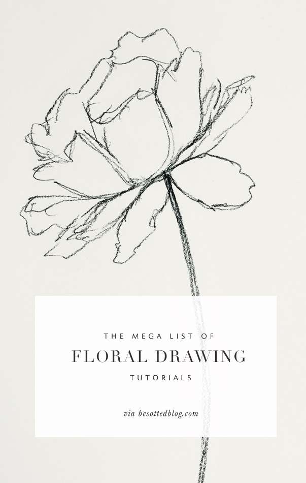 603x950 the mega list of floral drawing tutorials - Floral Drawings