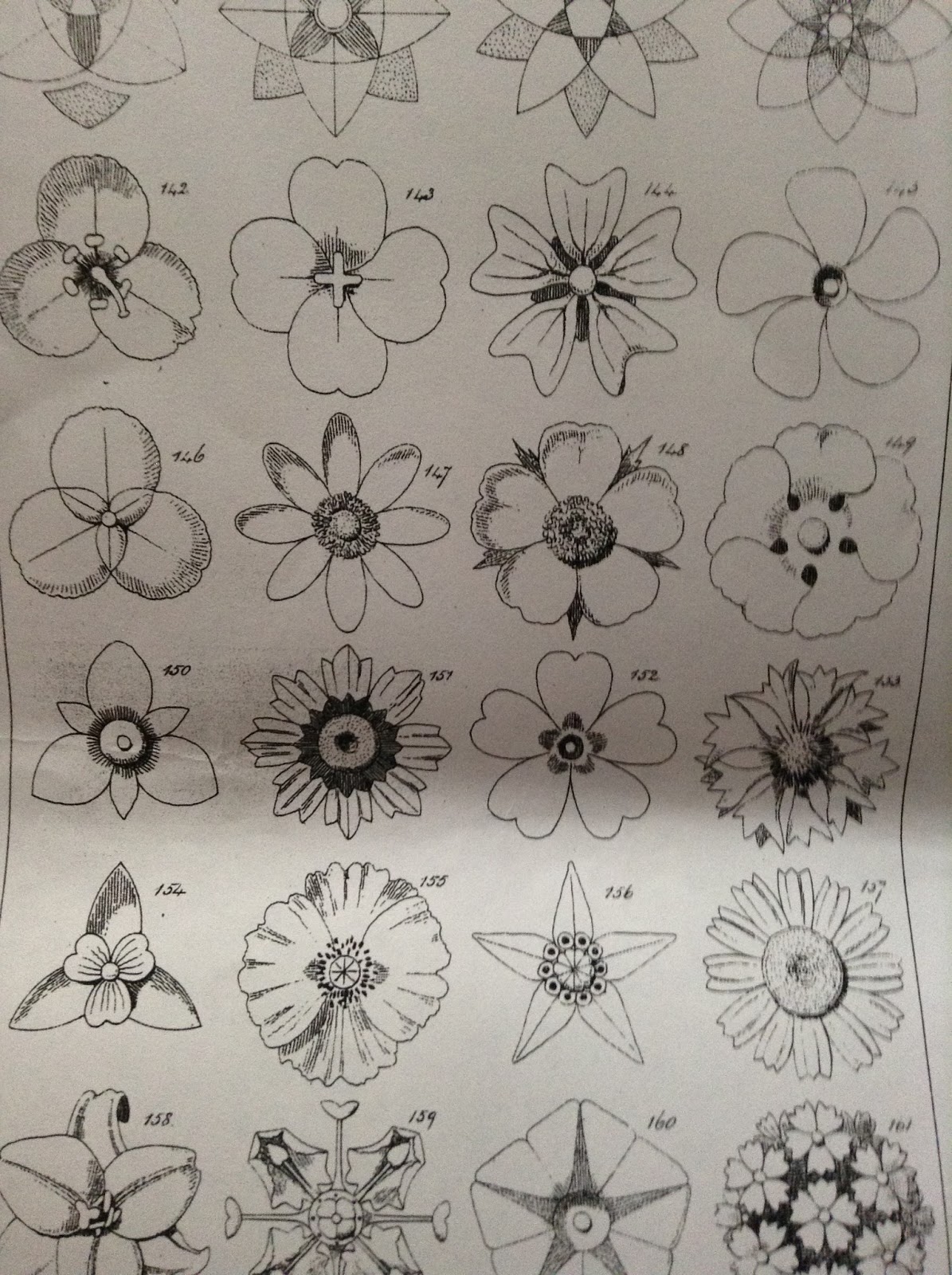 1195x1600 textiles floral drawings lesson - Floral Drawings