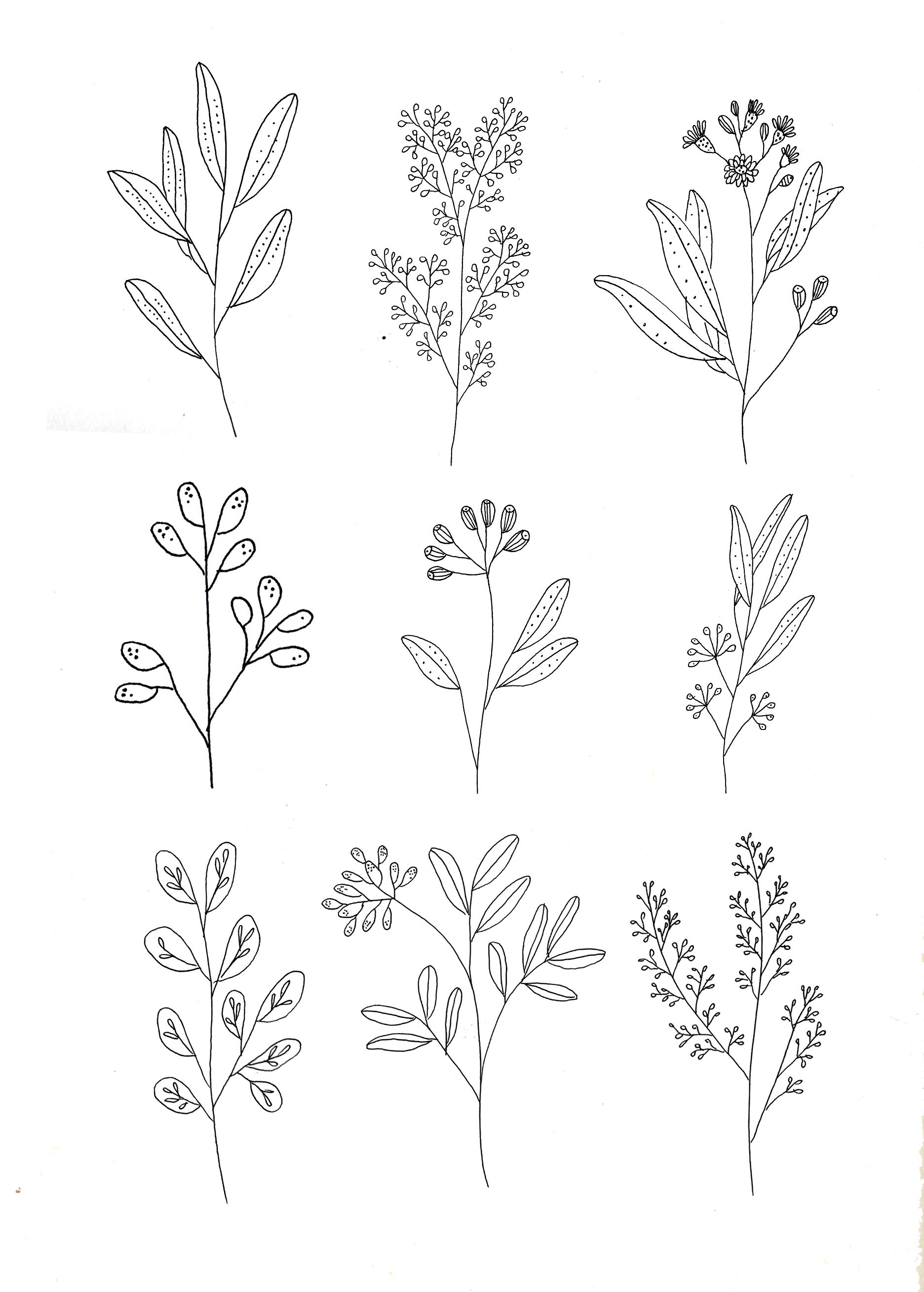 1872x2616 Botanics - Floral Drawings